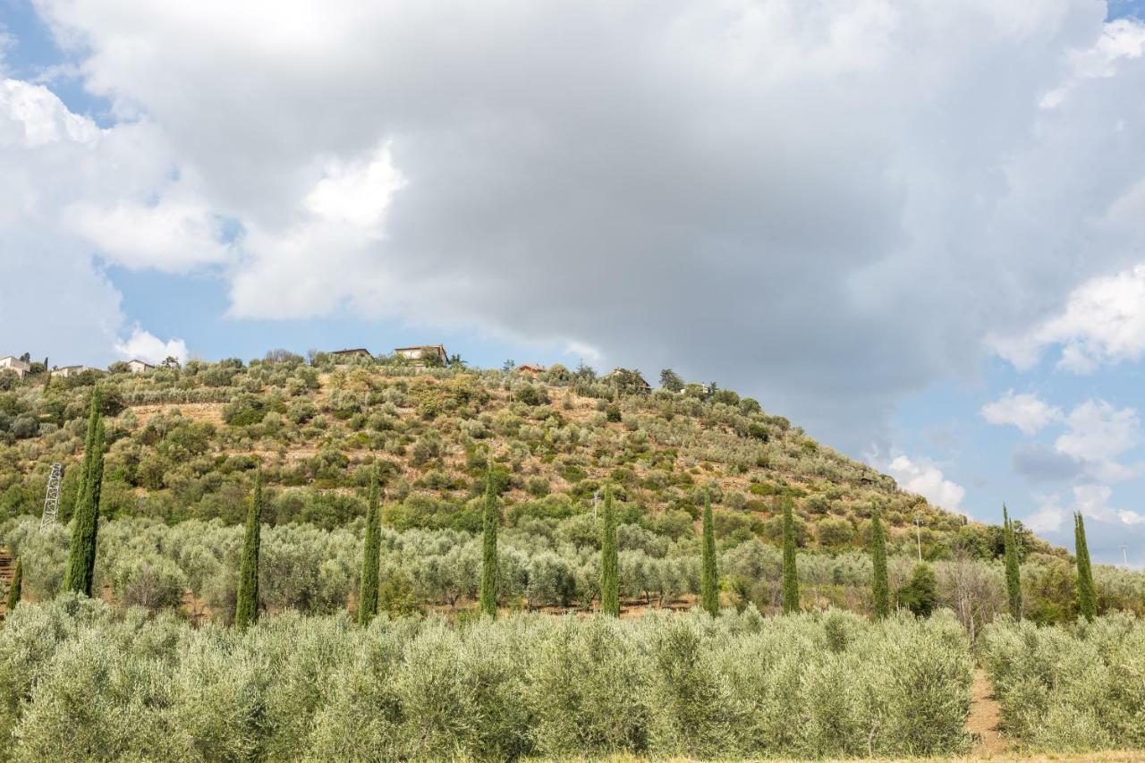 Little Val D'Orcia Leilighet Montenero d'Orcia Eksteriør bilde