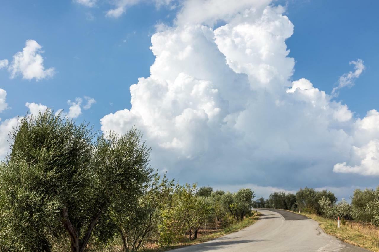 Little Val D'Orcia Leilighet Montenero d'Orcia Eksteriør bilde