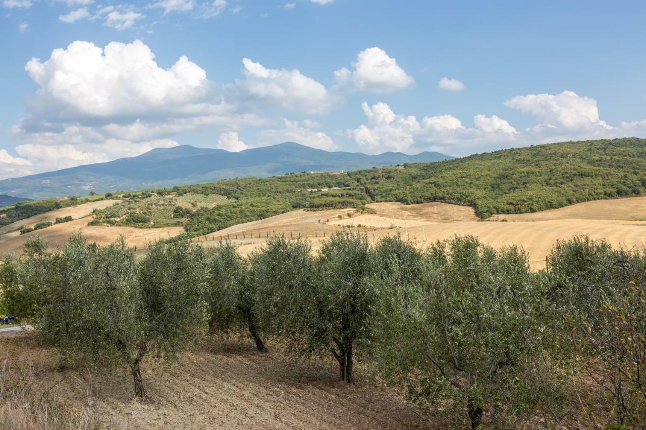 Little Val D'Orcia Leilighet Montenero d'Orcia Eksteriør bilde